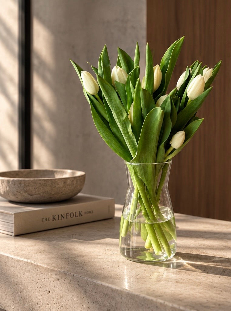 Tulipanes blancos