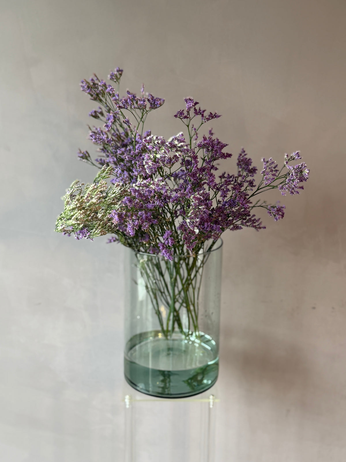 Limonium morado
