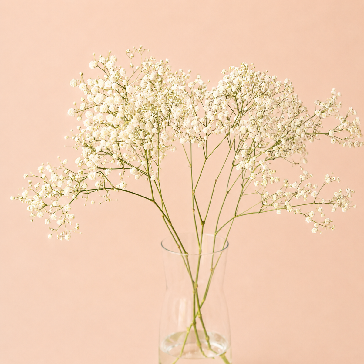 Flores De Relleno