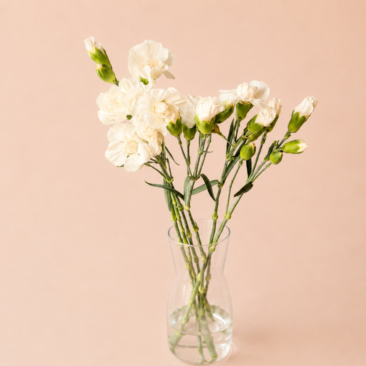 Flores Esenciales