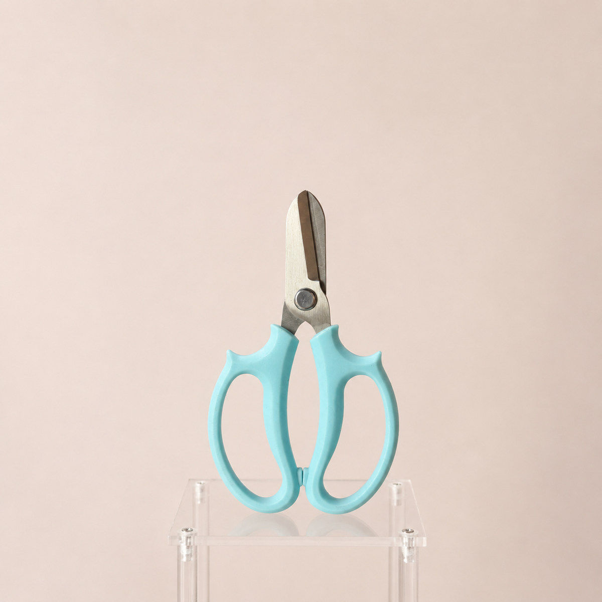 Accesorios