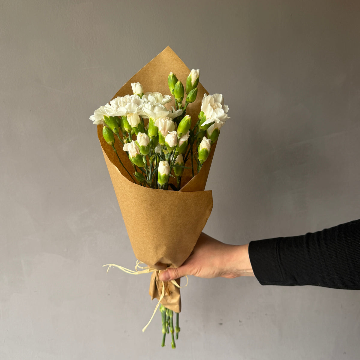 Mini Clavel Blanco