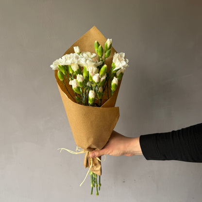 Mini Clavel Blanco
