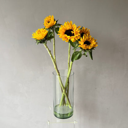 Girasol Amarillo
