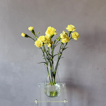 Mini Clavel Amarillo