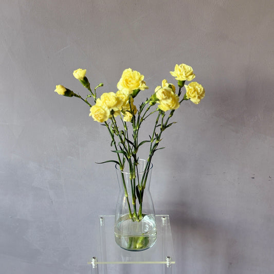 Mini Clavel Amarillo