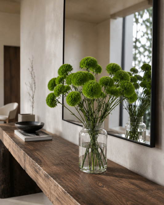 Dianthus Green Ball
