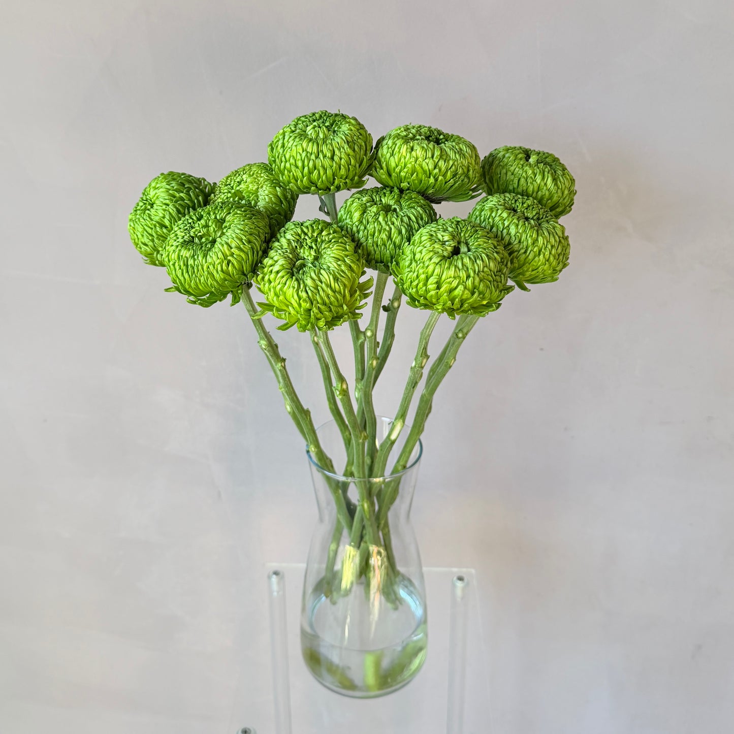 Cremón Verde