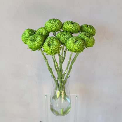 Cremón Verde