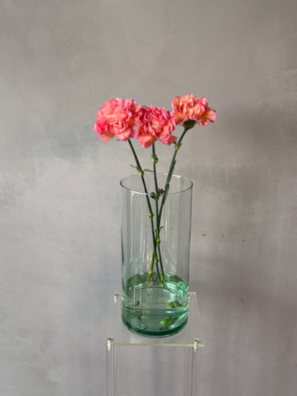 Clavel Coral