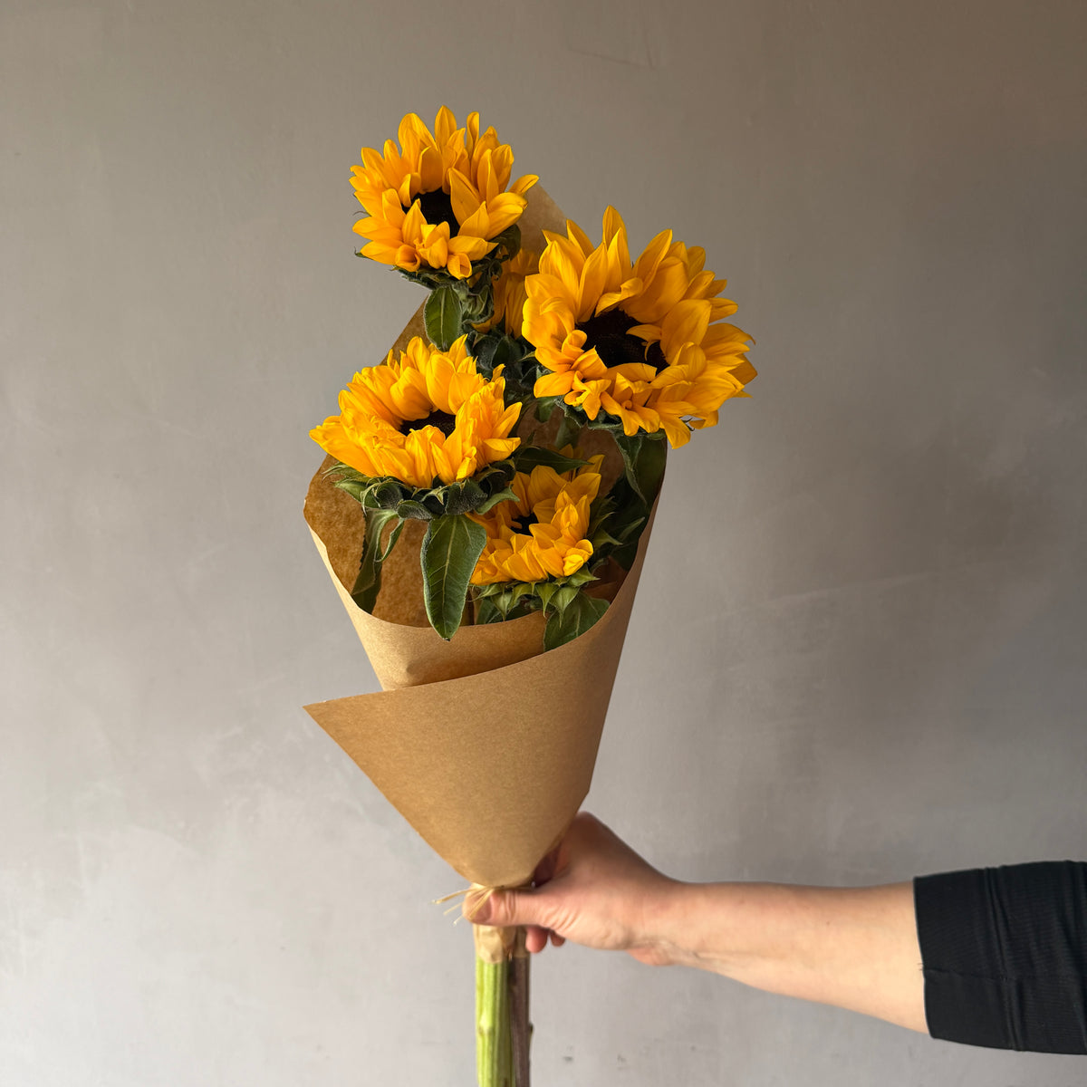 Girasol Amarillo