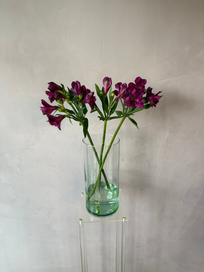 Alstroemeria morada