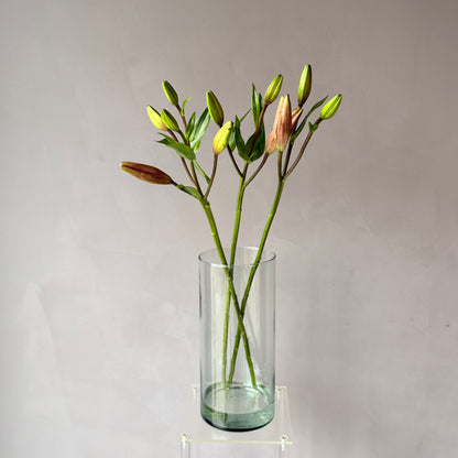 Lilium Asiático Rosado