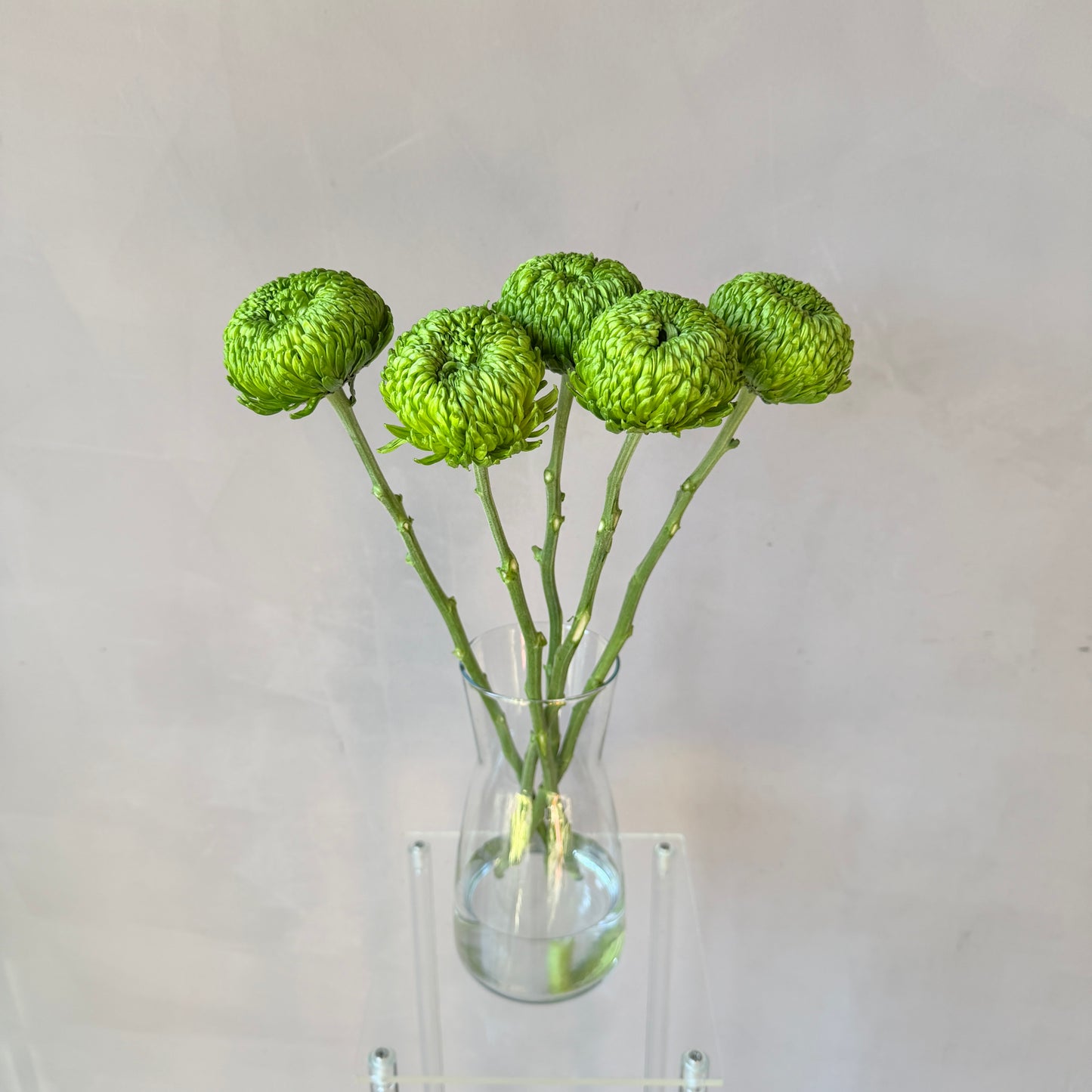 Cremón Verde