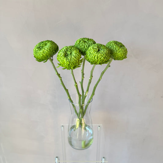 Cremón Verde