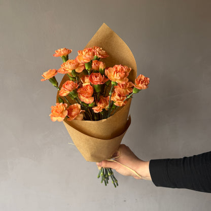 Mini Clavel Durazno