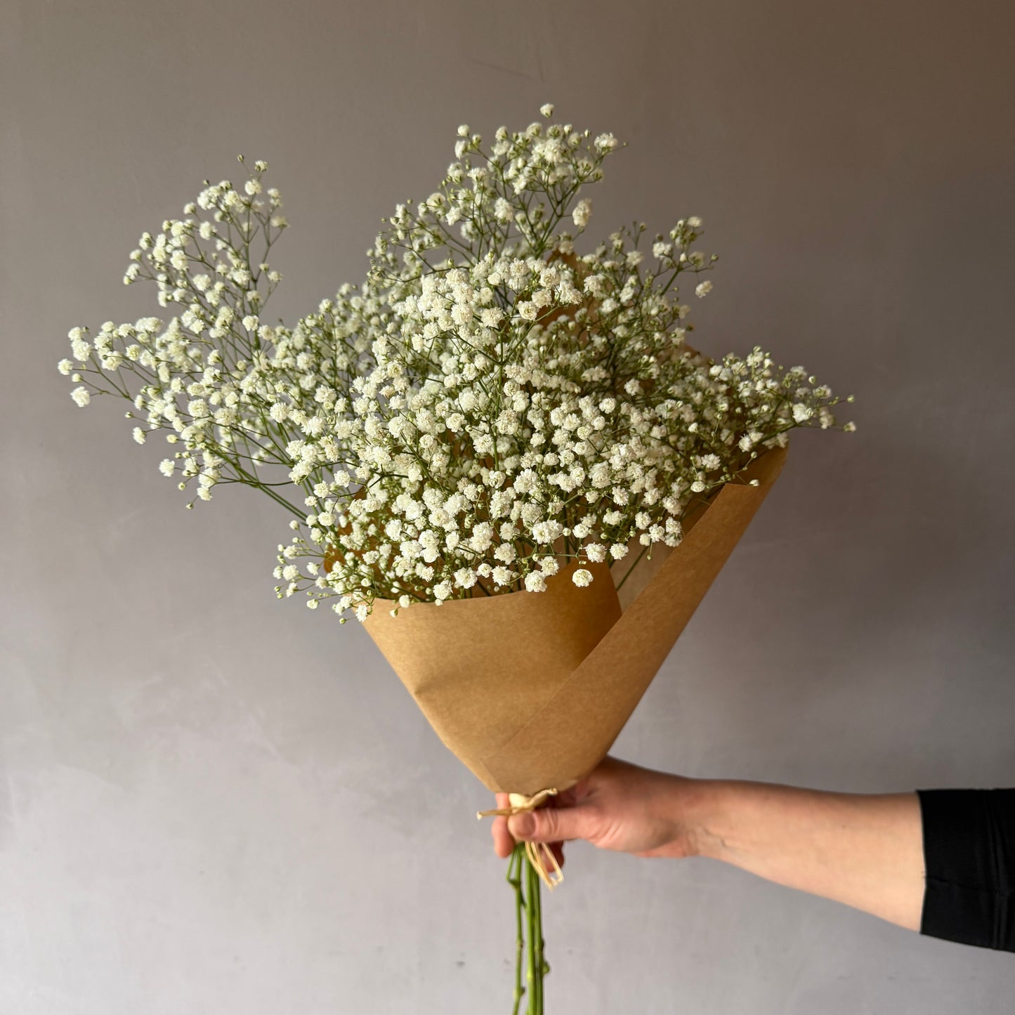 Gypsophila Blanca Premium Select