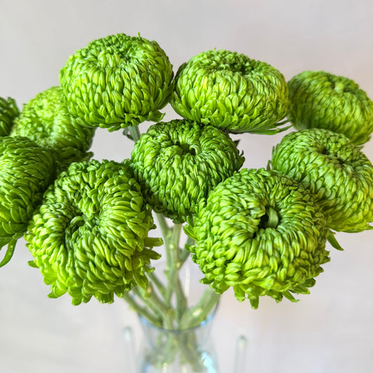Cremón Verde