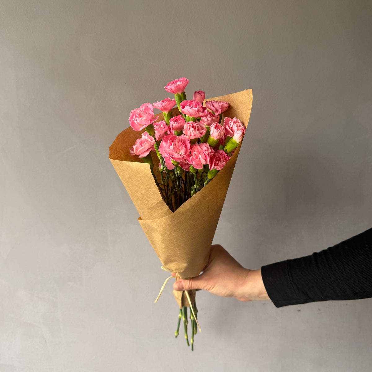 Mini Clavel Rosado