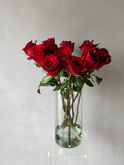 Rosas Rojas variedad Freedom