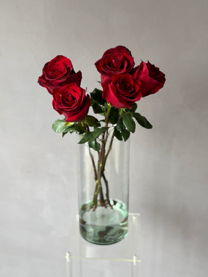 Rosas Rojas variedad Freedom