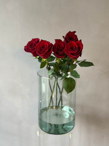 Rosas Rojas variedad Freedom