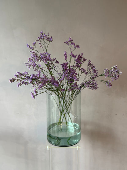 Limonium morado