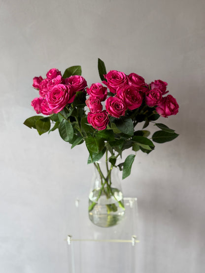 Mini Rosas Fucsia