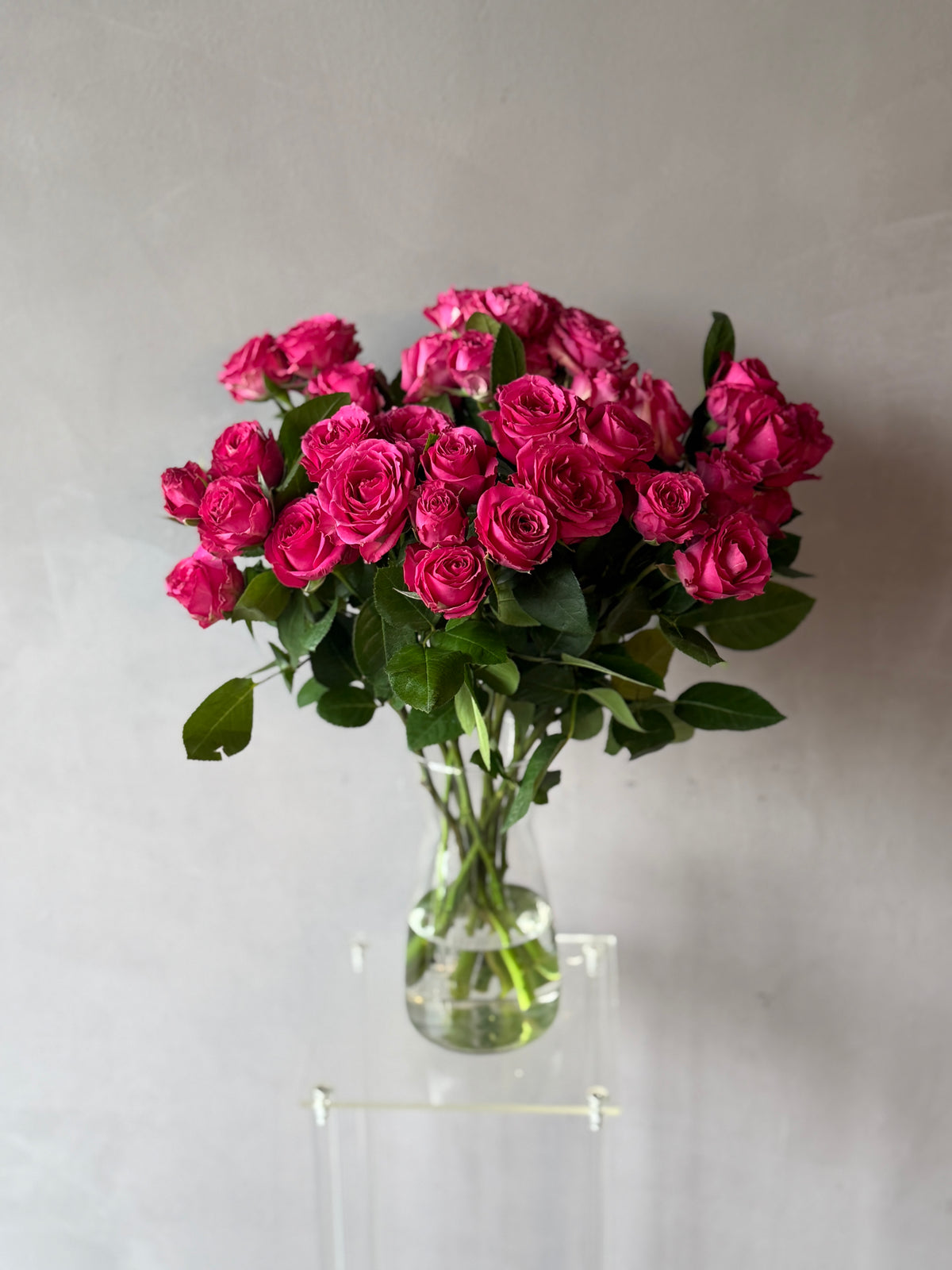 Mini Rosas Fucsia