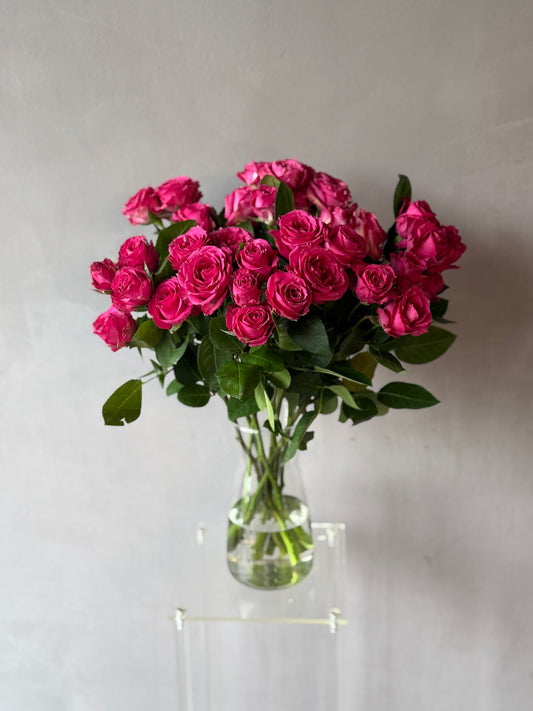Mini Rosas Fucsia