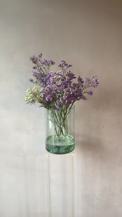 Limonium morado