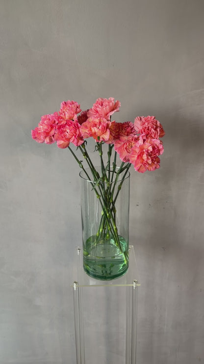 Clavel Coral