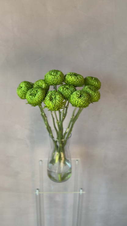 Cremón Verde