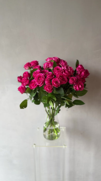 Mini Rosas Fucsia